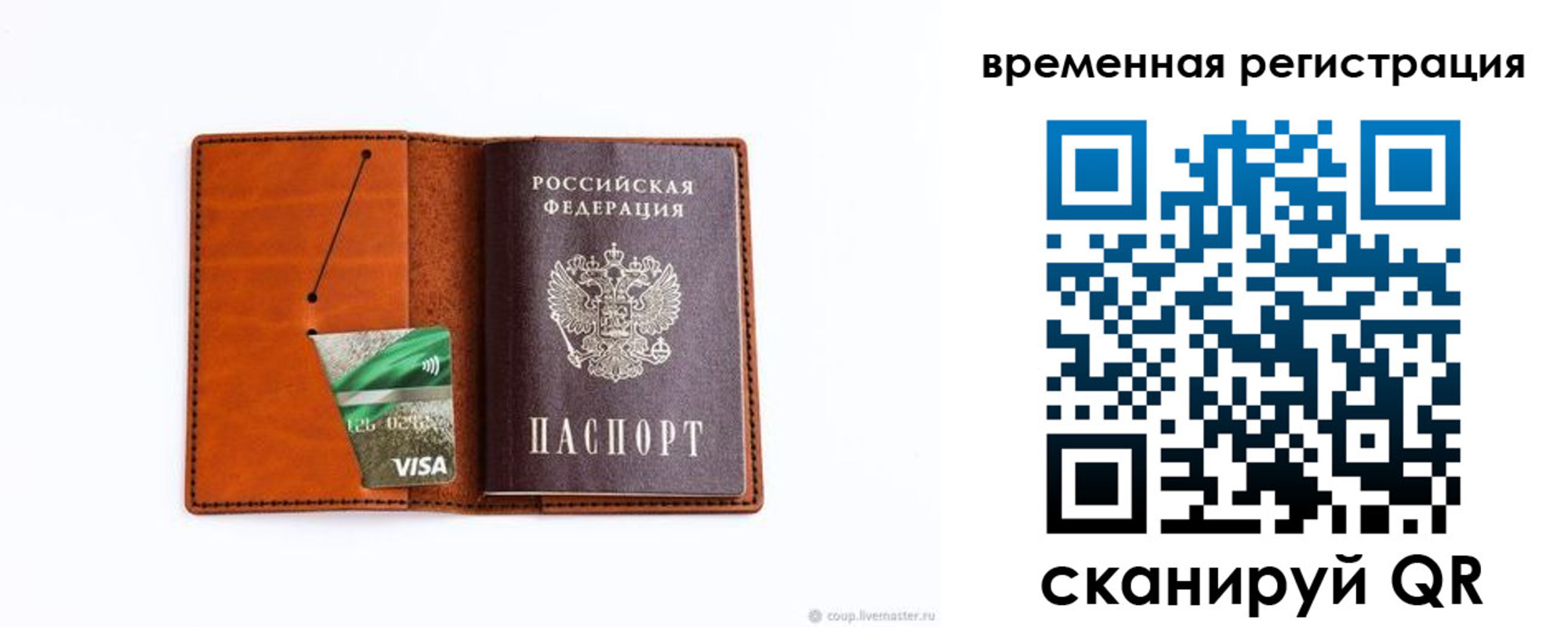 прописка для школы в Купино